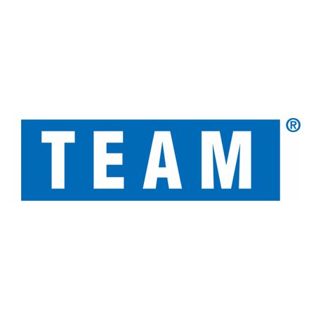 TEAM Industrial Logo